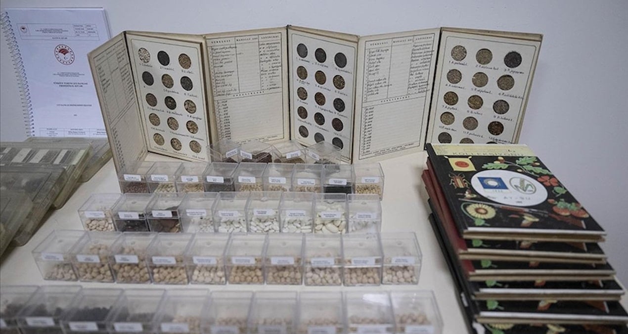 turkiyede 4 bin 500 turden 122 bin tohum gen bankalarinda korunuyor fci8Wgiy