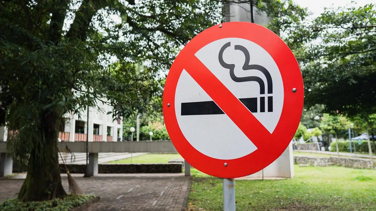 boluda cocuk parklarinda sigara icmek yasaklanacak h4BtGYjp.jpg