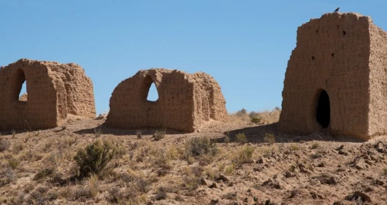 700 Yıl Önceki Mezarda Bulunan Bakteri, İnsanlık Tarihini Yeniden Şekillendirecek