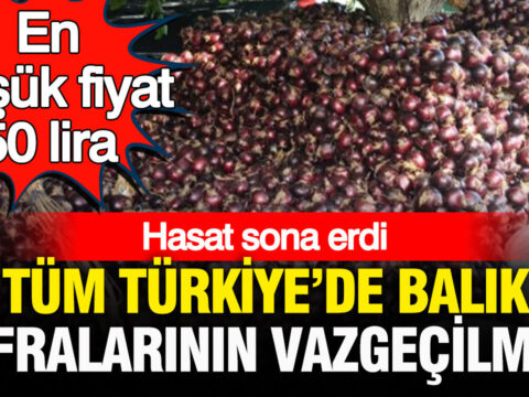 Turkiyenin her yerinde balik sofralarinin vazgecilmezi hasadi biten cografi isaretli soganda en dusuk fiyat V53KxFje